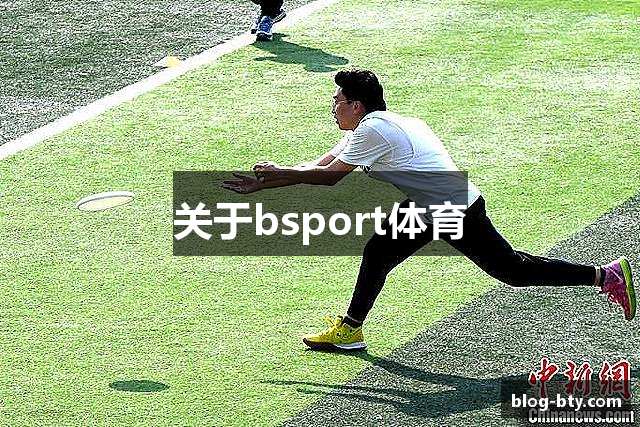 关于bsport体育